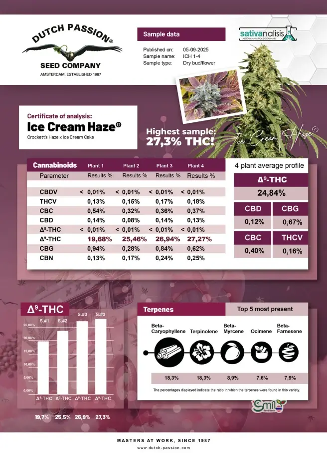 Ice Cream Haze — 7