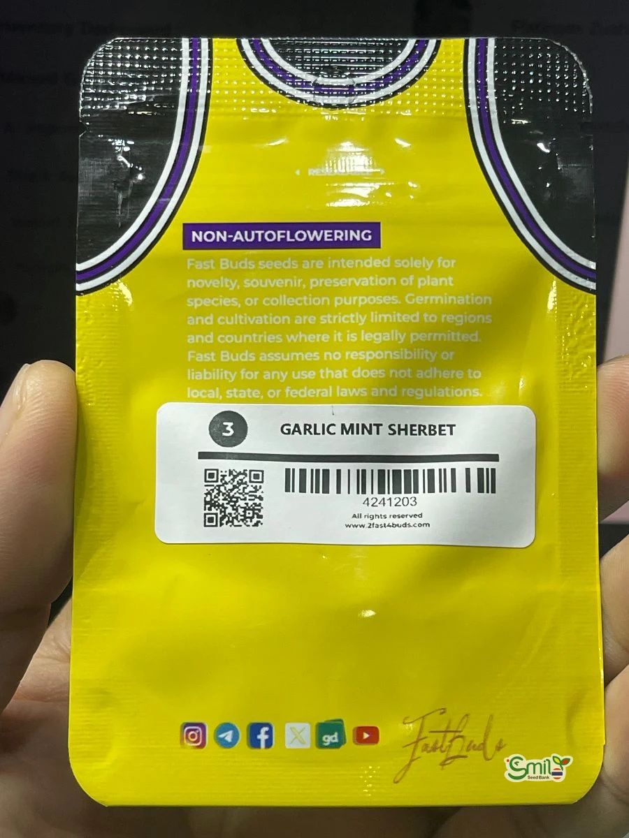 Garlic Mint Sherbet — 2