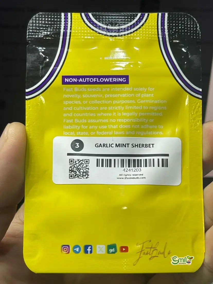 Garlic Mint Sherbet — 2
