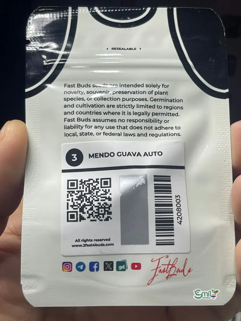 Mendo Guava Auto — 2