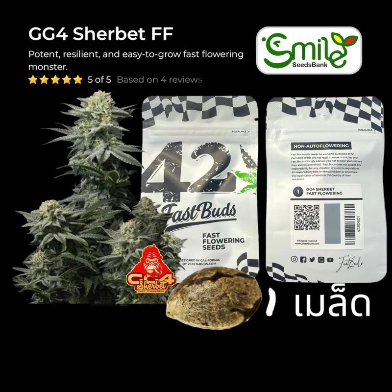 GG4 Sherbet FF — 4