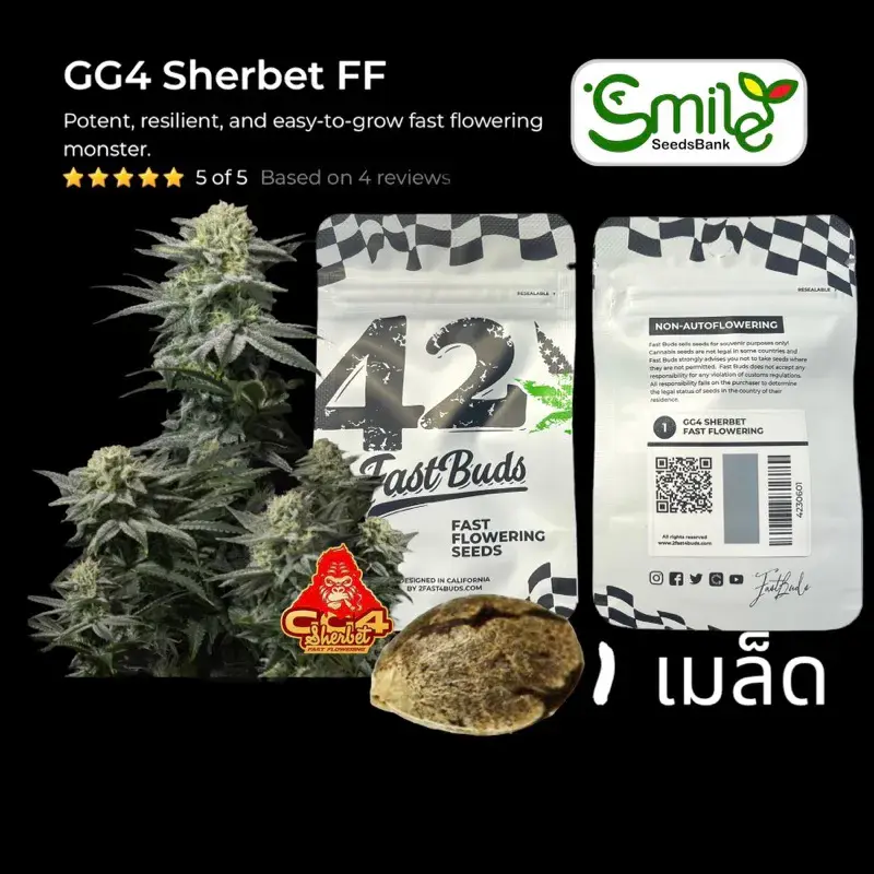 GG4 Sherbet FF — 4