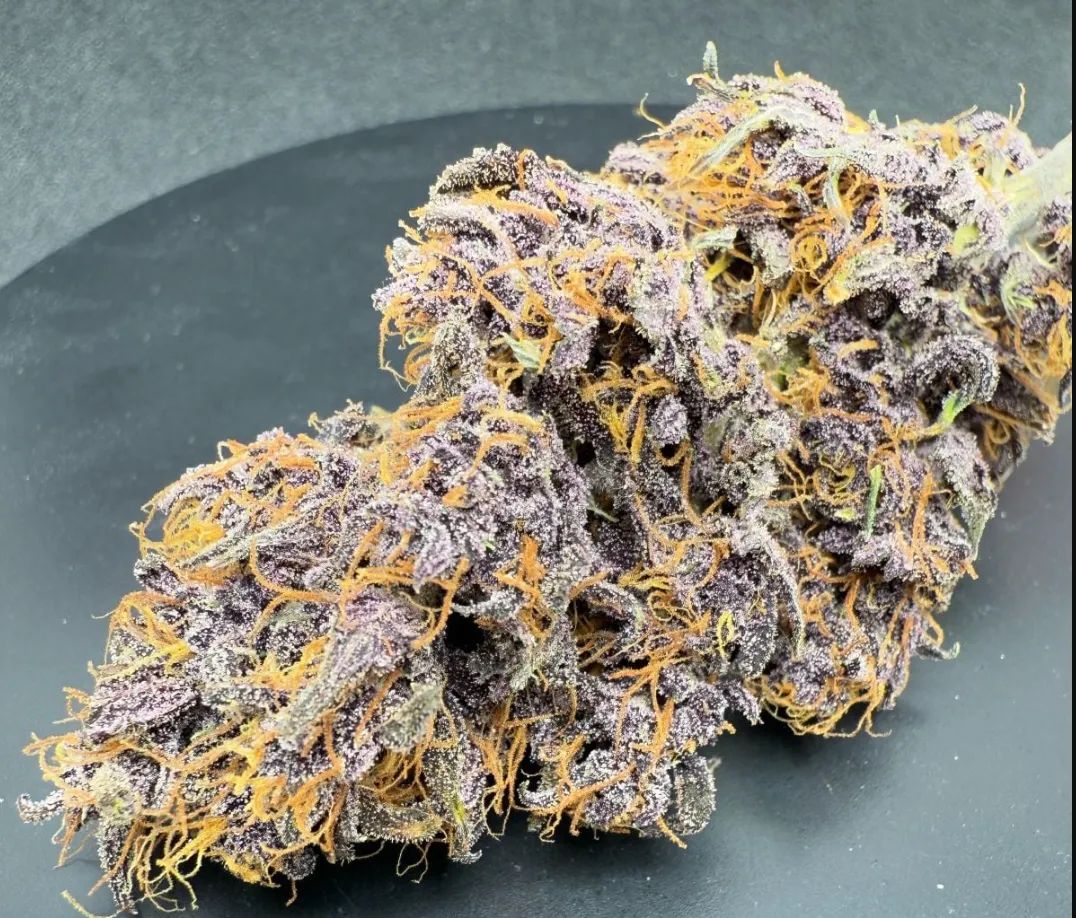 Purple Haze Auto™ — 4