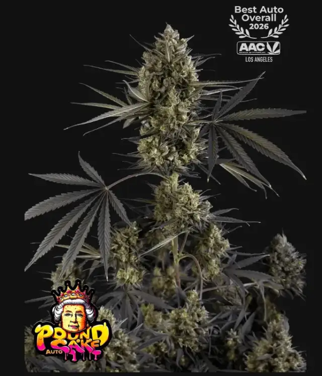 Pound Cake Auto™ — 1