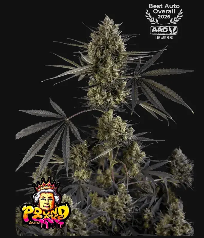 Pound Cake Auto™ — 1
