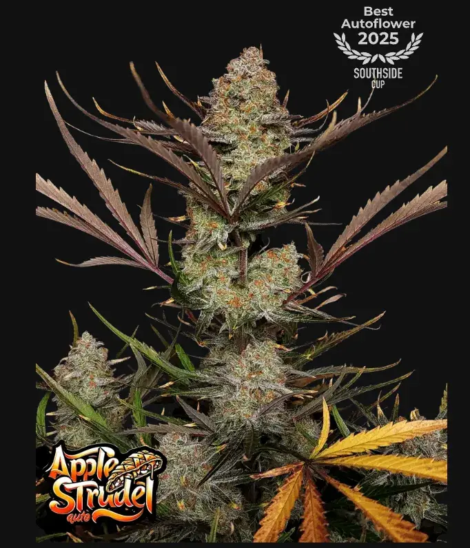 Apple Strudel Auto™ — 1