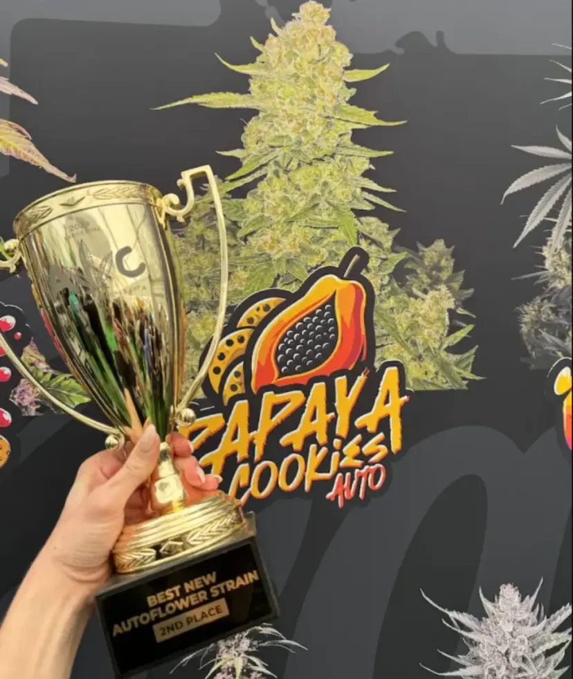 Papaya Cookies Auto™ — 5