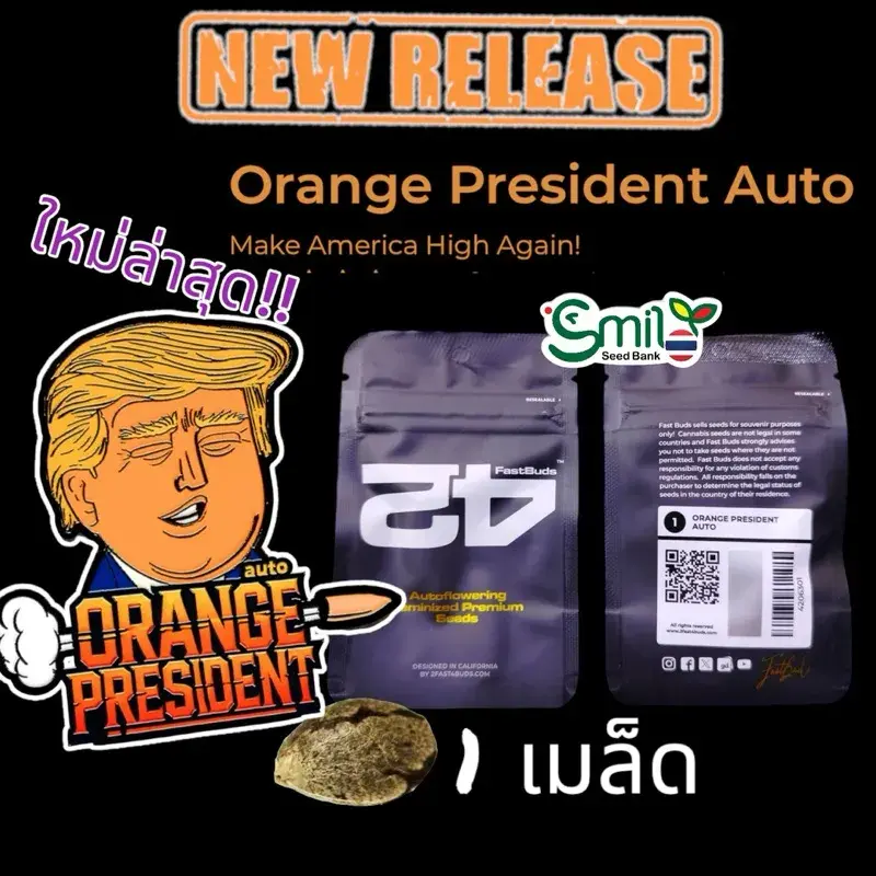 Orange President Auto — 4