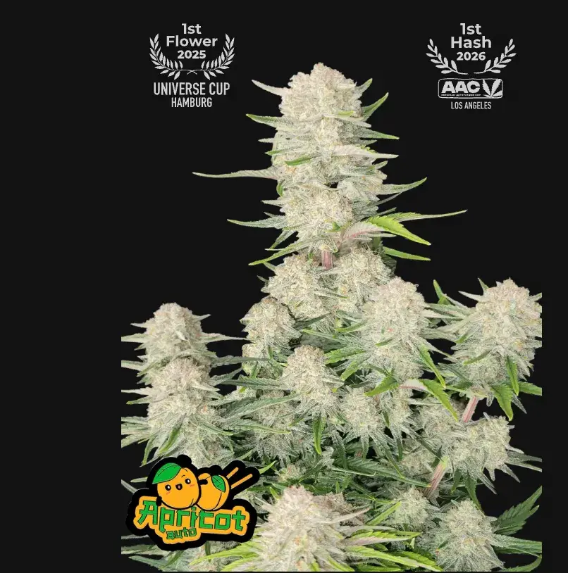 Apricot Auto™ — 1