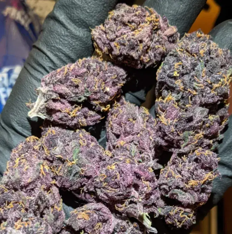 Blackberry Auto — 3