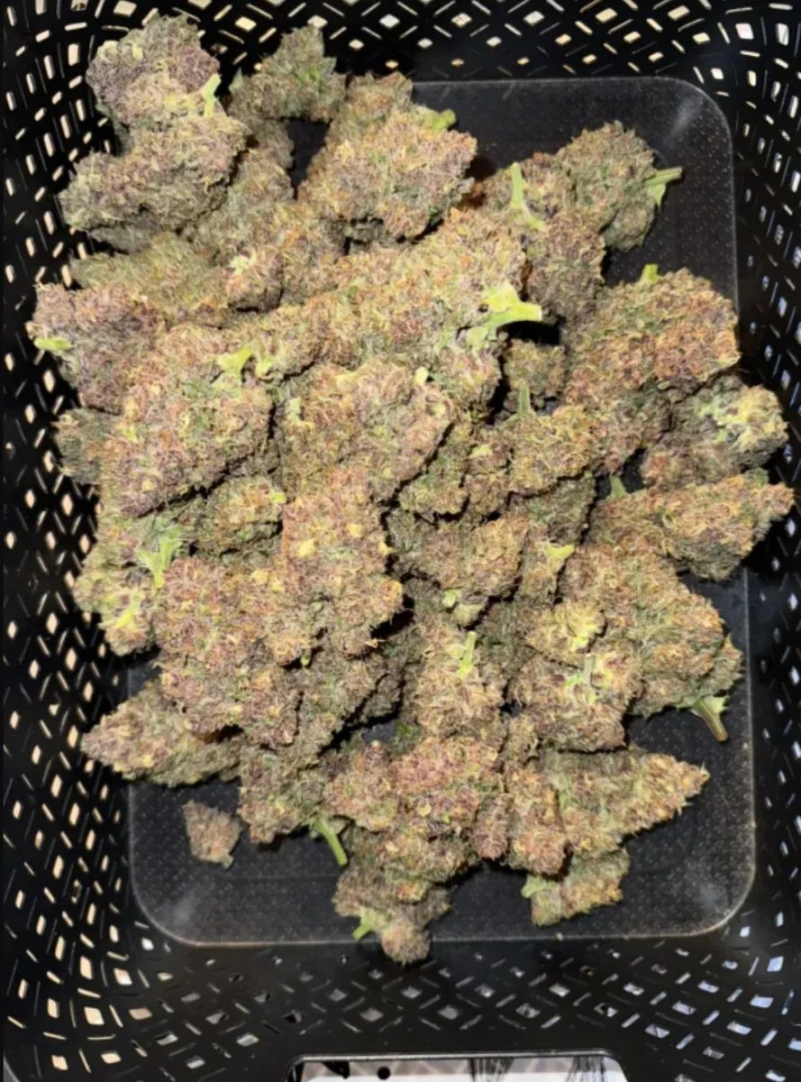 Cherry Cola Auto — 3