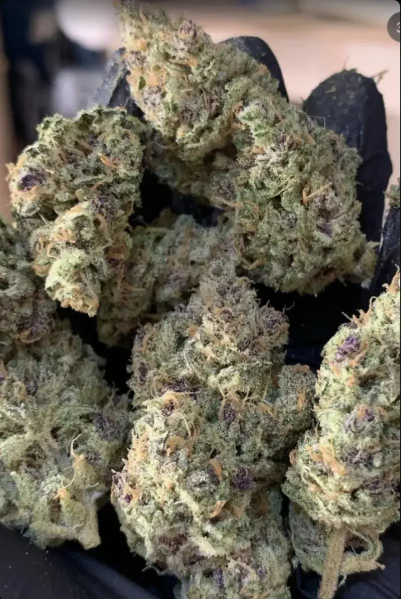 Cherry Cola Auto — 4
