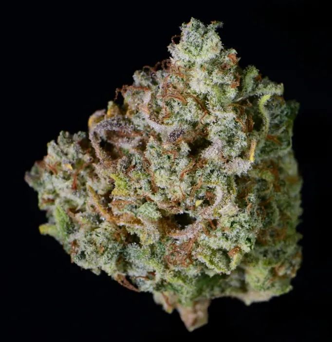 Gelato Auto — 3