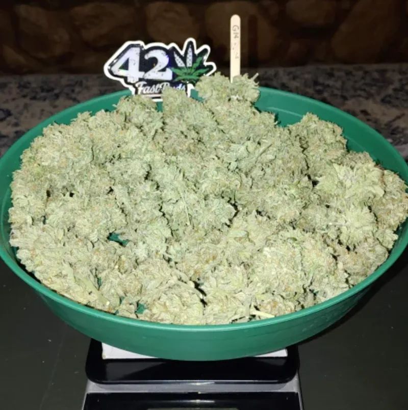 G14 — 5