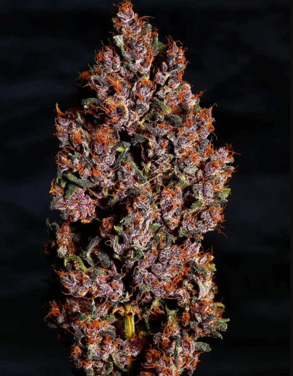 Crystal Meth — 4