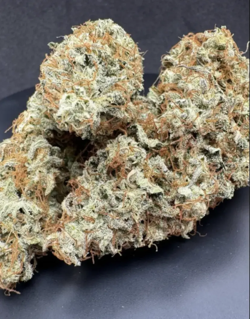 Kosher Cake Auto — 5