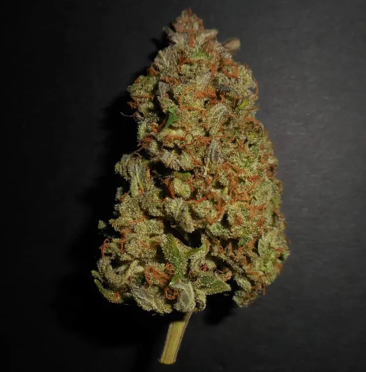 Lemon AK Auto — 2
