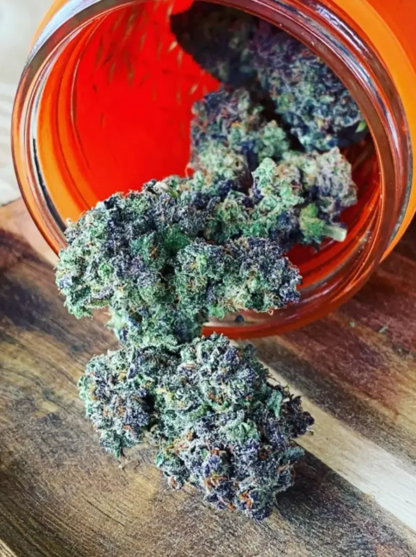 LSD-25 Auto — 4