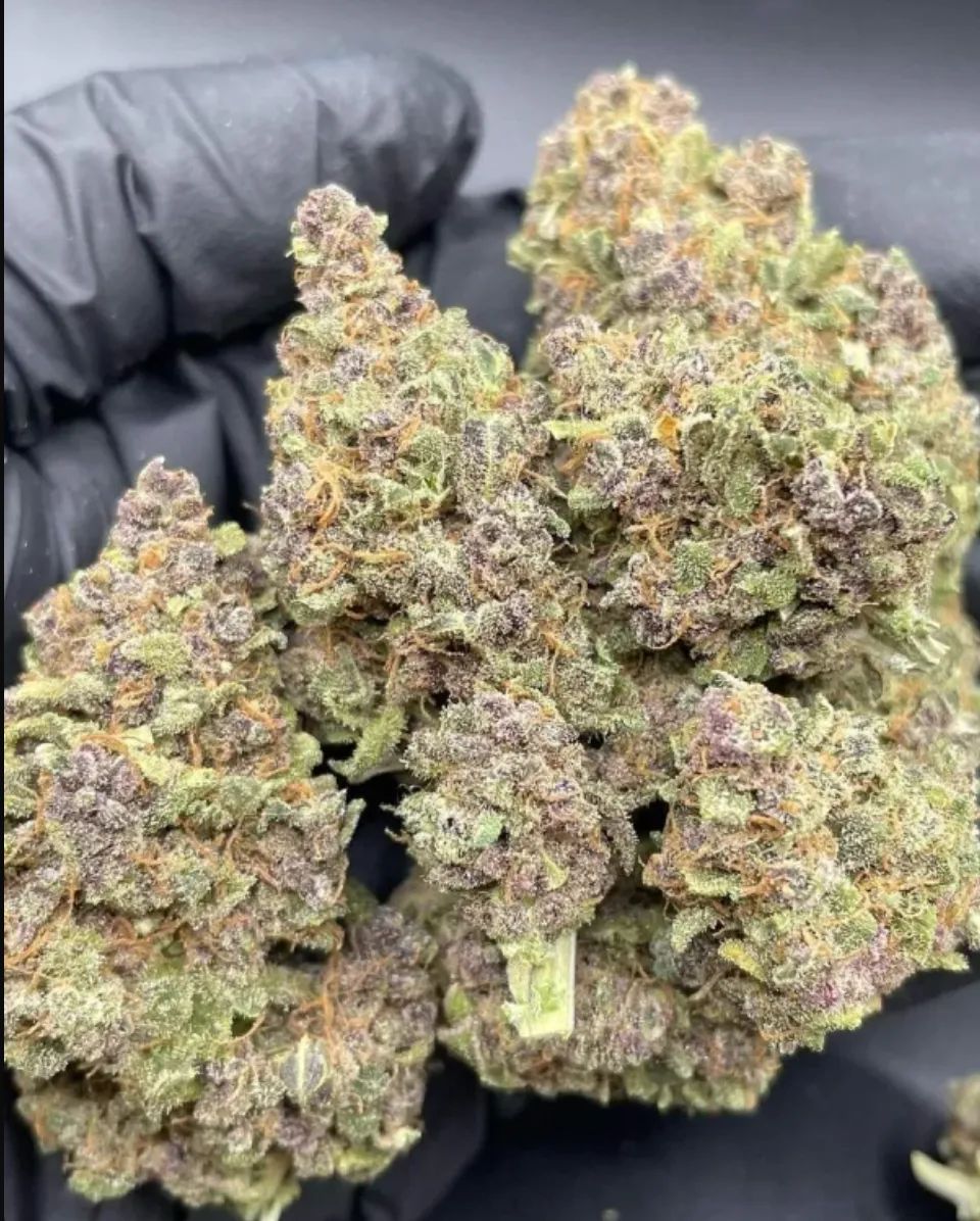 Purple Punch Auto — 4