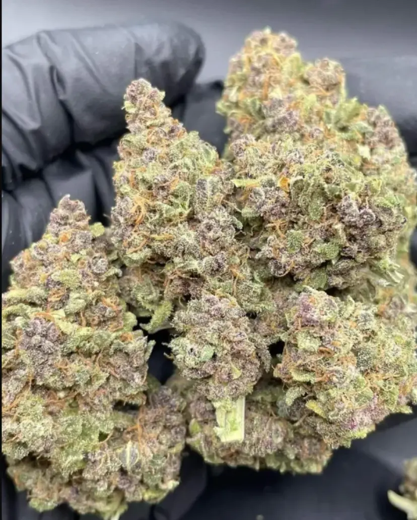 Purple Punch Auto — 4
