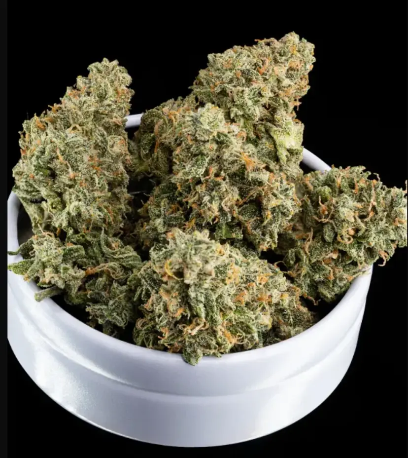 Rhino Ryder Auto — 5