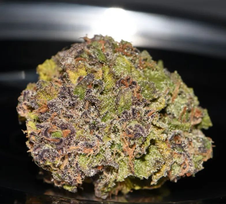 Smoothie Auto — 2