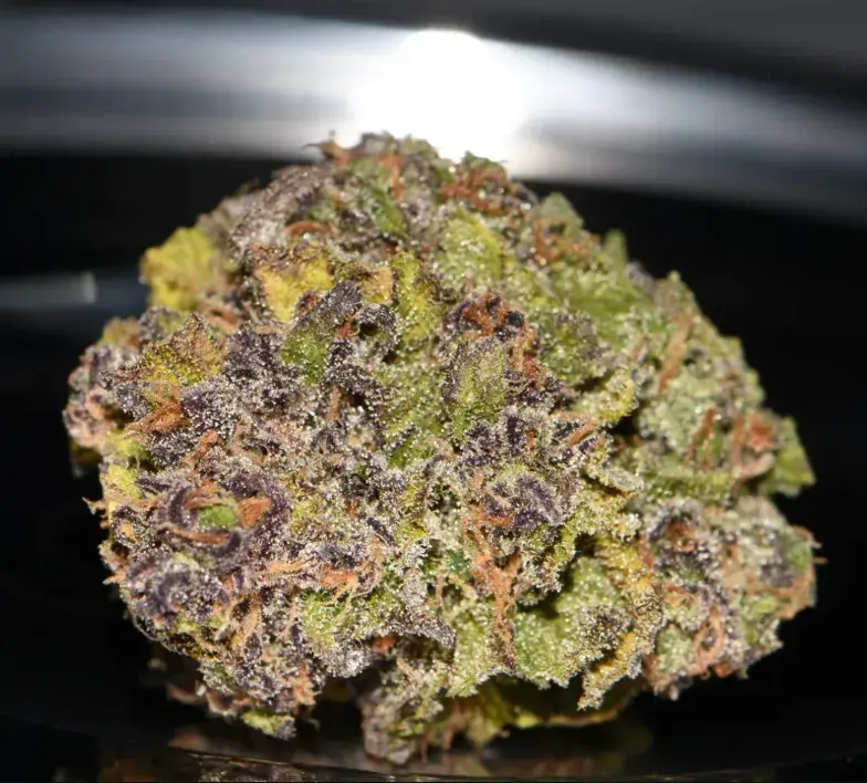Smoothie Auto — 2