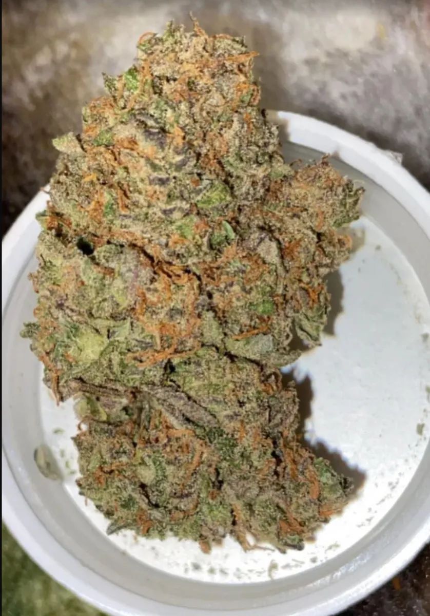 Smoothie Auto — 4