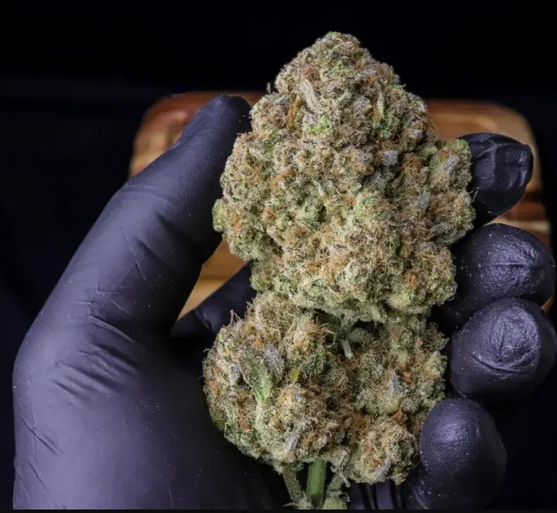 Strawberry Gorilla Auto — 4