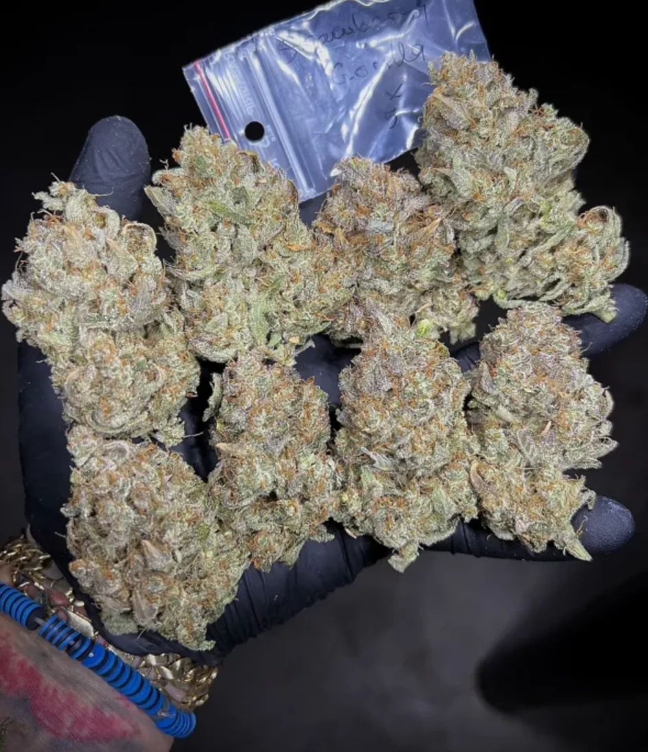 Strawberry Gorilla Auto — 5