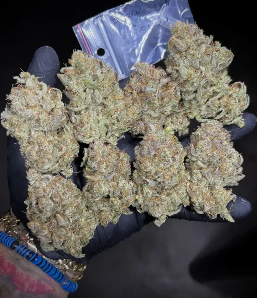 Strawberry Gorilla Auto — 5