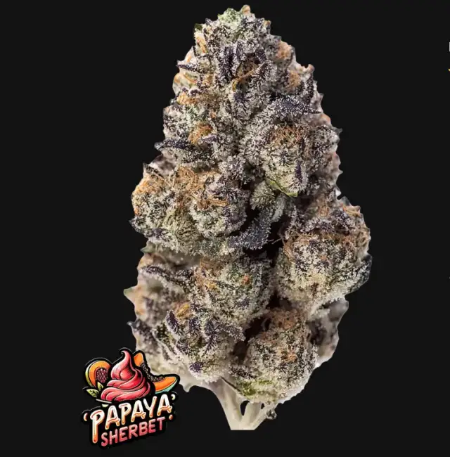 Papaya Sherbet — 1