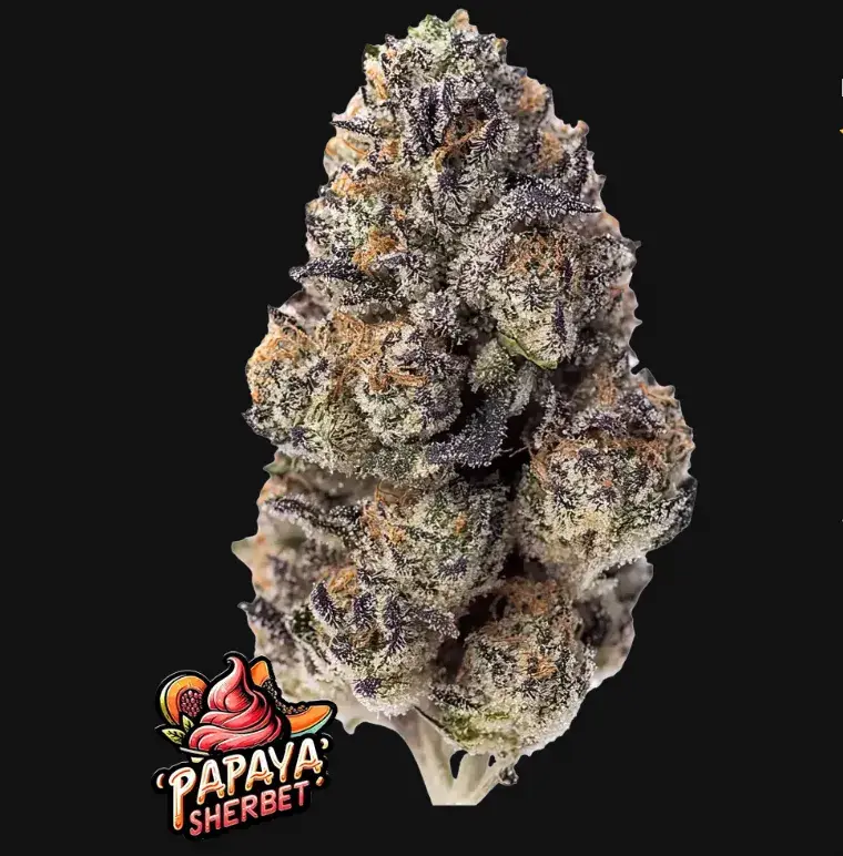 Papaya Sherbet — 1