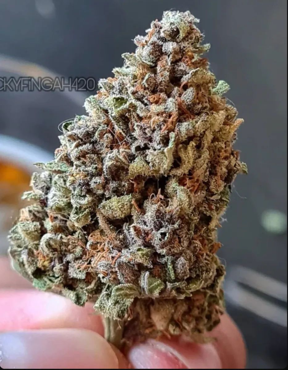 Strawberry Pie Auto — 4