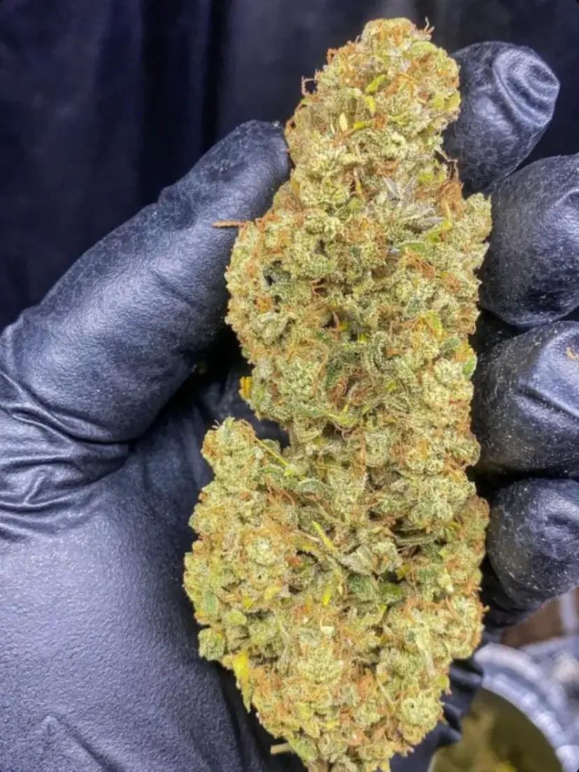 Wedding Cheesecake Auto — 5