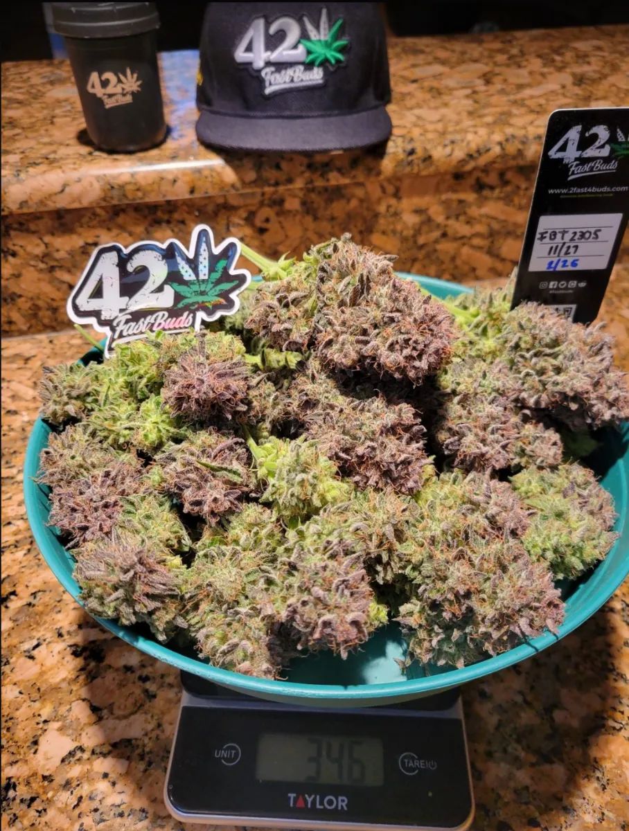 Ztrawberriez Auto — 3